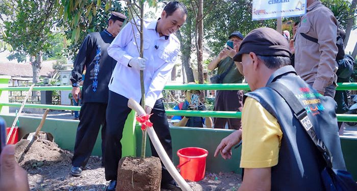 Underpass Gatot Subroto Berdampak pada Pohon, Pemkot Cimahi Siapkan 74 Pohon Pengganti