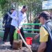 Underpass Gatot Subroto Berdampak pada Pohon, Pemkot Cimahi Siapkan 74 Pohon Pengganti