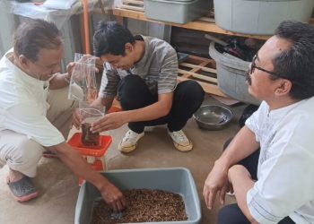 Sampah Organik Diolah Menjadi Maggot Bernilai Ekonomi, USB YPKP Dorong Ekonomi Sirkular di Padasuka