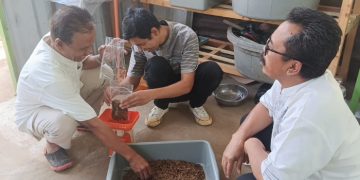 Sampah Organik Diolah Menjadi Maggot Bernilai Ekonomi, USB YPKP Dorong Ekonomi Sirkular di Padasuka